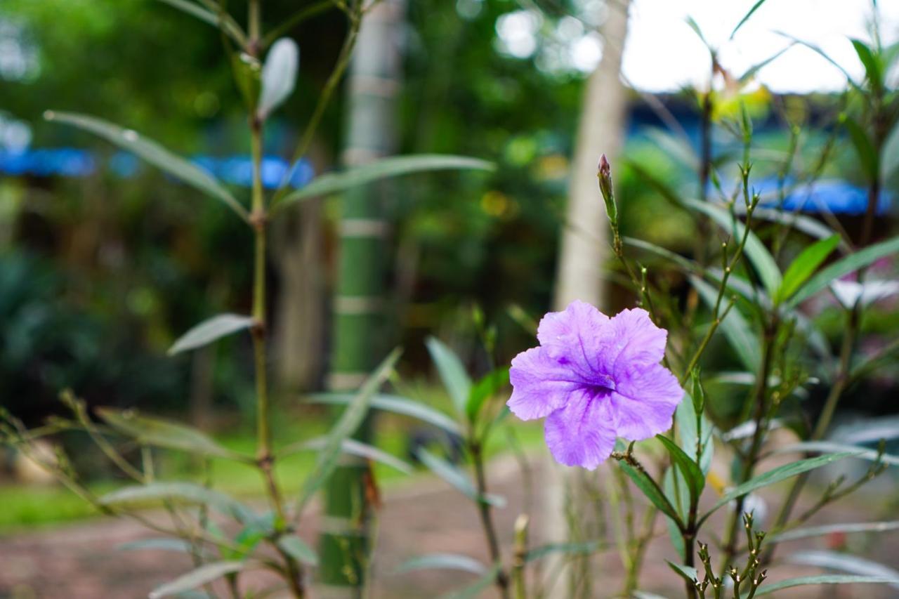 Smiley Frog Apartment Kanchanaburi Exterior photo